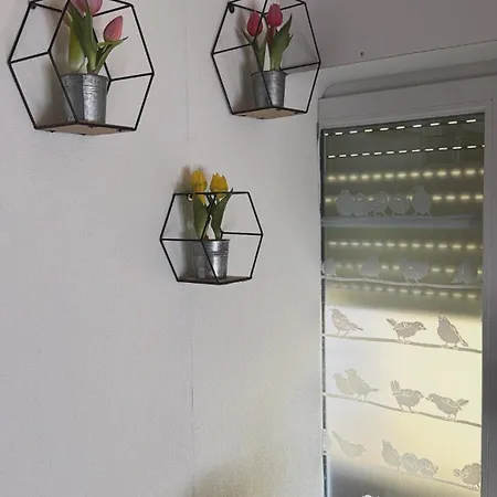Apartment Mosel