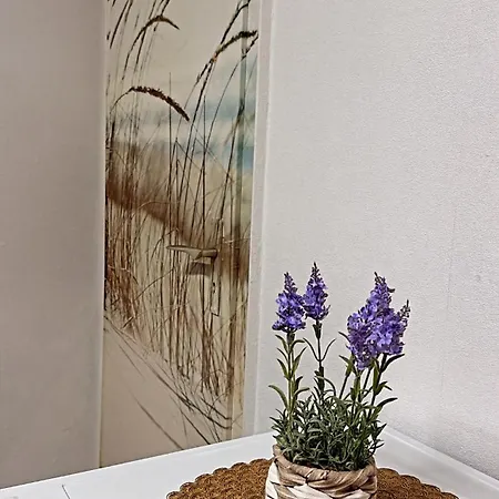 Apartment Mosel