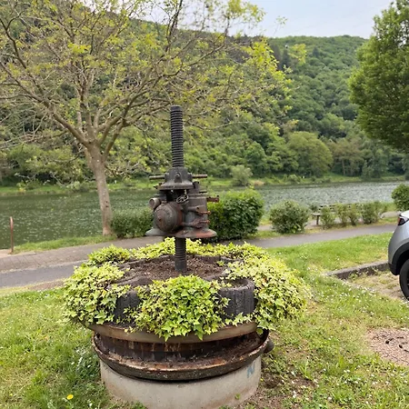 Apartment Mosel *